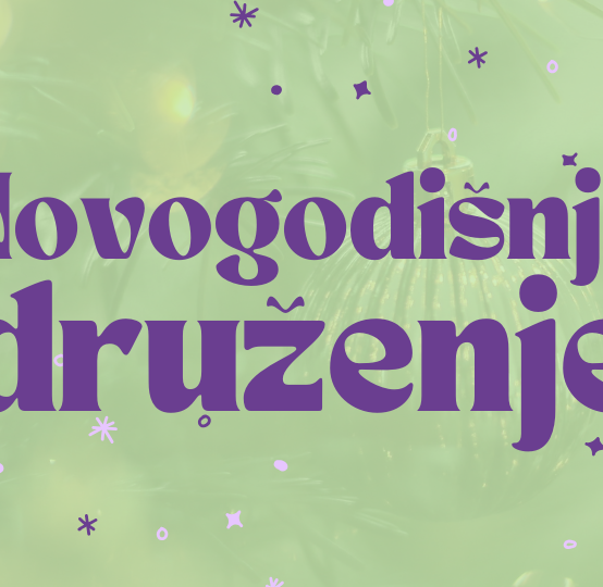 Novogodišnje druženje i praznični program